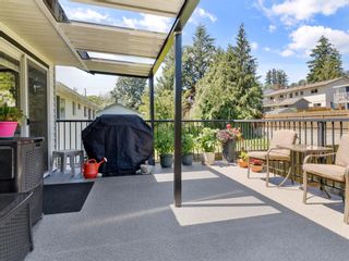 Photo 27: 34833 CHANTRELL Place in Abbotsford: Abbotsford East House for sale : MLS®# R2707994