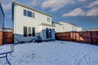 Photo 34: 10 Windwood Grove SW: Airdrie Detached for sale : MLS®# A2019256