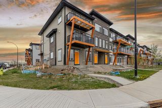 Photo 23: 19679 19679 48 Street SE in Calgary: Seton Apartment for sale : MLS®# A2052521