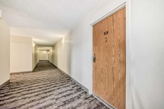 Photo 23: 913 8604 48 Avenue NW in Calgary: Bowness Apartment for sale : MLS®# A2126675