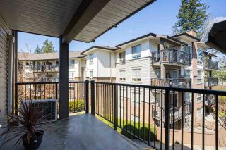Photo 24: 301 11667 HANEY Bypass in Maple Ridge: West Central Condo for sale in "Haney's Landing" : MLS®# R2568174