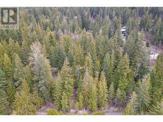 Photo 8: 7566 Lonneke Trail in Anglemont: Vacant Land for sale : MLS®# 10310704