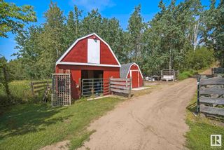 Photo 19: 11 474012 RGE RD 242: Rural Wetaskiwin County House for sale : MLS®# E4385728