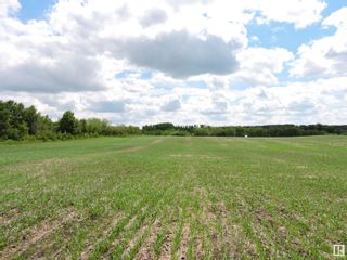 Photo 4: Range 103 Township 564: Rural St. Paul County Vacant Lot/Land for sale : MLS®# E4302350