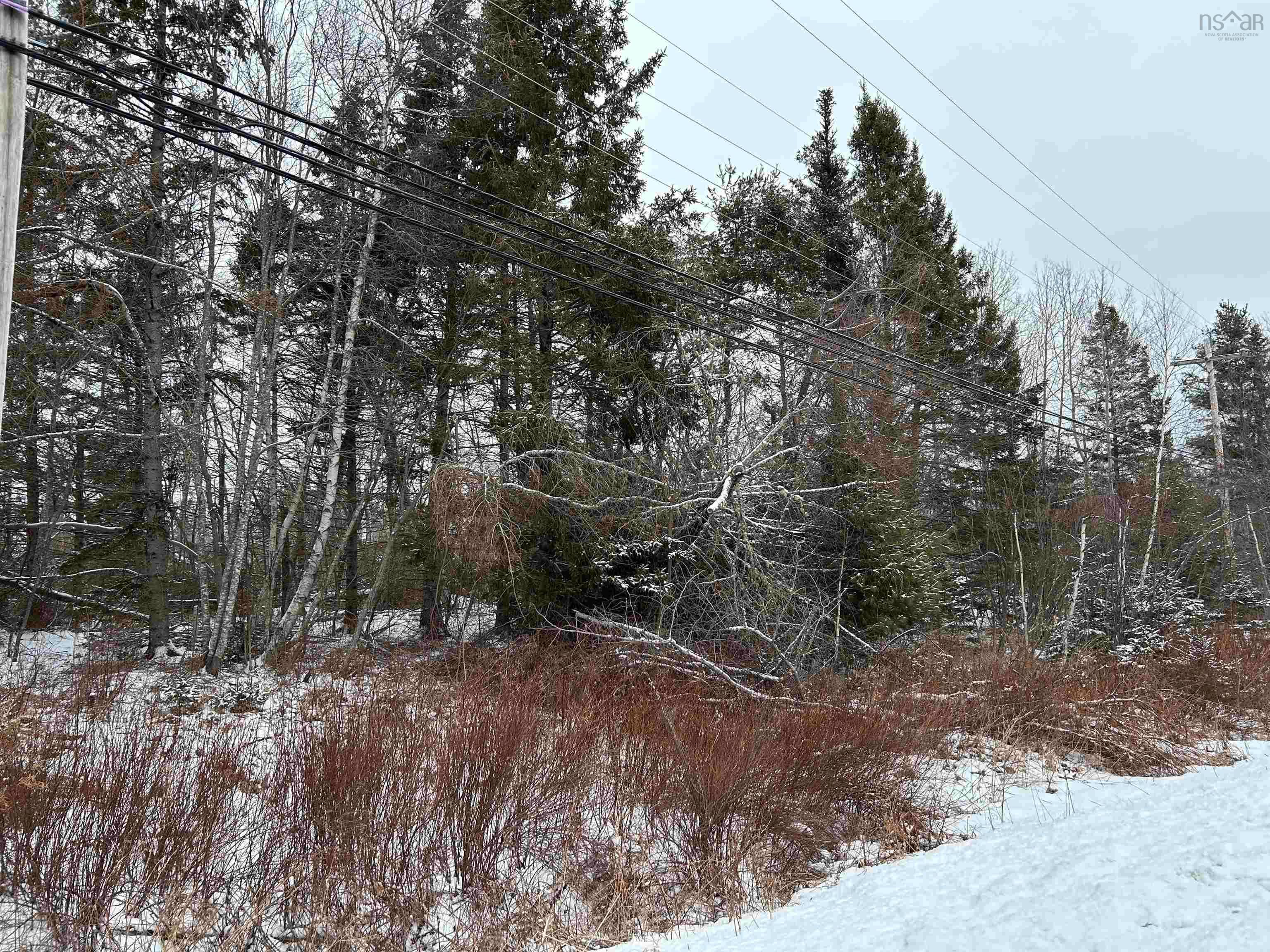 Main Photo: Lot 10 Highway 376 in Durham: 108-Rural Pictou County Vacant Land for sale (Northern Region)  : MLS®# 202401893
