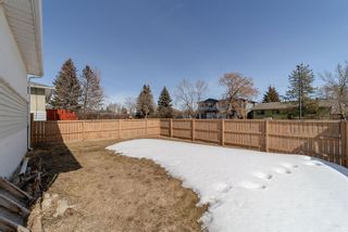 Photo 39: 1139 39 Street SE in Calgary: Forest Lawn Detached for sale : MLS®# A2035890