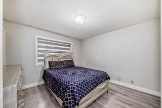 Photo 11: 128 Whitehorn Crescent NE in Calgary: Whitehorn Detached for sale : MLS®# A2128127