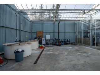Photo 14: 31433 KING ROAD in Abbotsford: Agriculture for sale : MLS®# C8058348