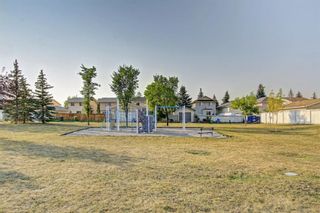 Photo 47: 25 Martinview Crescent NE in Calgary: Martindale Detached for sale : MLS®# A1107227