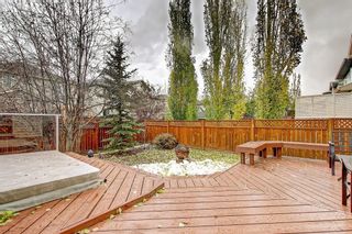 Photo 10: 217 TUSCANY MEADOWS Heights NW in Calgary: Tuscany Detached for sale : MLS®# C4213768
