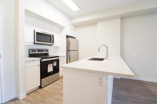 Photo 6: 311 50 Philip Lee Drive in Winnipeg: Crocus Meadows Condominium for sale (3K)  : MLS®# 202202236
