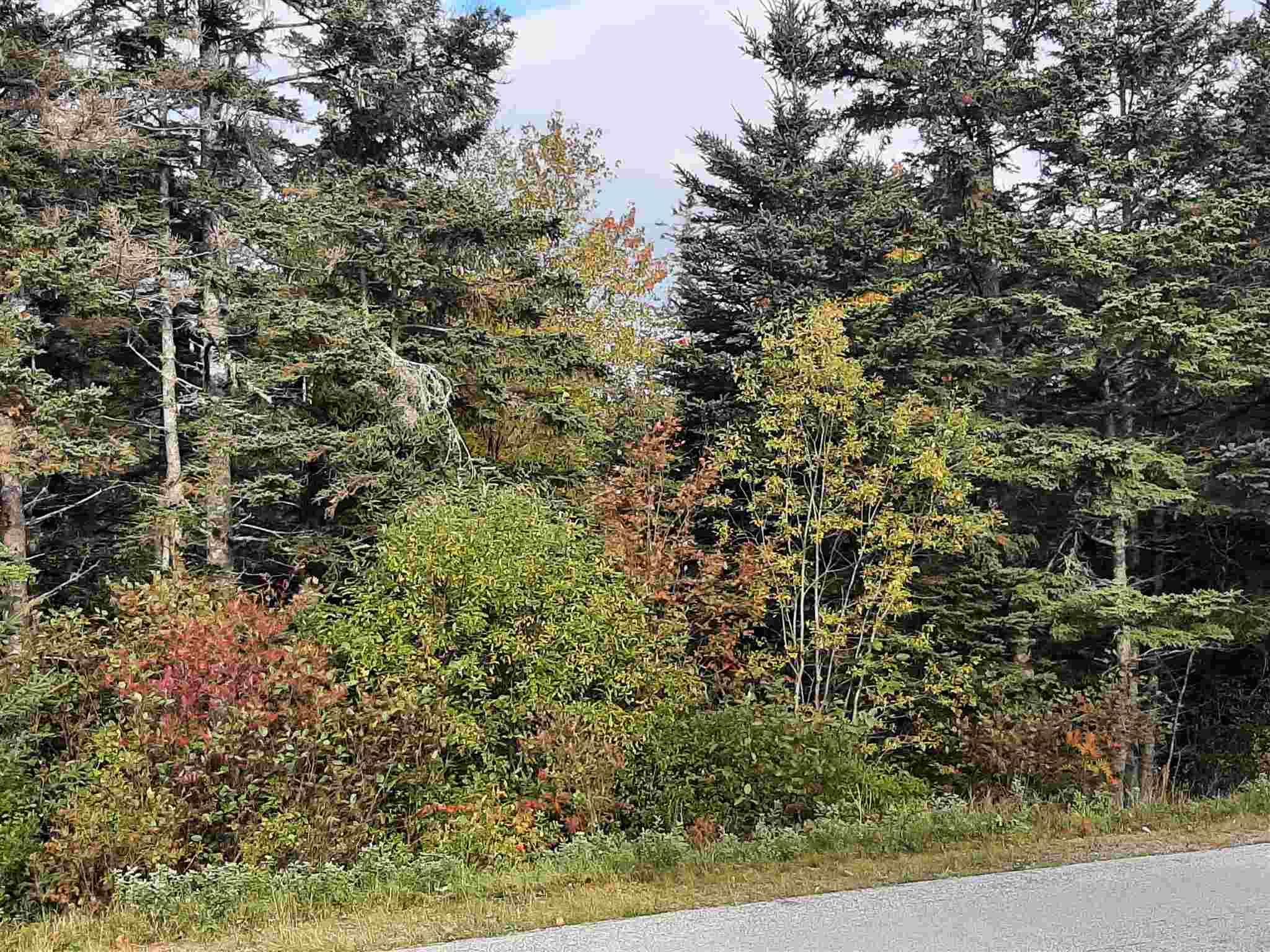 Main Photo: Lot 2 Eastern Shore Road in Port Medway: 406-Queens County Vacant Land for sale (South Shore)  : MLS®# 202126582