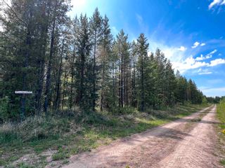 Photo 9: DL 1952 MCRINNEY Road in Prince George: Buckhorn Land for sale (PG Rural South)  : MLS®# R2748598