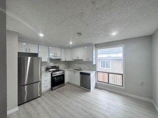 Photo 21: 918 40 Street SE in Calgary: Forest Lawn Semi Detached (Half Duplex) for sale : MLS®# A2132383