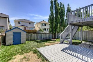 Photo 28: 125 Citadel Estates Terrace NW in Calgary: Citadel Detached for sale : MLS®# A2055056