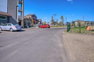 Photo 22: 1106 6118 80 Avenue NE in Calgary: Saddle Ridge Apartment for sale : MLS®# A2123612