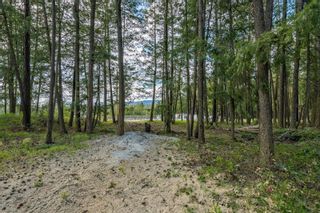 Photo 9: Lot 1 Gulch Road, in Armstrong: Vacant Land for sale : MLS®# 10265215