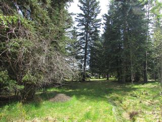Photo 5: 127, 5241 TWP Rd 325A: Rural Mountain View County Land for sale : MLS®# C4299936