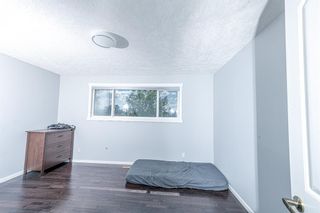 Photo 17: 280 Rundlefield Road NE in Calgary: Rundle Detached for sale : MLS®# A1142021
