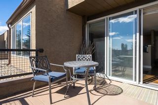 Photo 22: 5 207 Village Terrace SW in Calgary: Patterson Apartment for sale : MLS®# A2045542