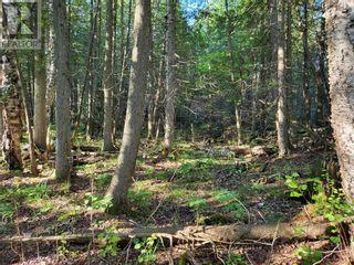 Photo 14: PT 1 Silver Lake Road in Silver Water, Manitoulin Island: Vacant Land for sale : MLS®# 2101697