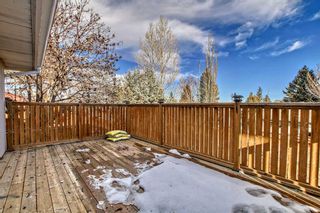 Photo 43: 14116 Deer Ridge Drive SE in Calgary: Deer Ridge Detached for sale : MLS®# A2105941
