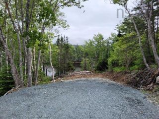 Photo 5: Highway 7 in Spry Harbour: 35-Halifax County East Vacant Land for sale (Halifax-Dartmouth)  : MLS®# 202219207