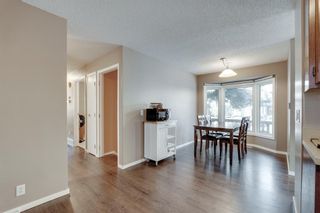 Photo 12: 41 Queen Anne Close SE in Calgary: Queensland Detached for sale : MLS®# A2021417