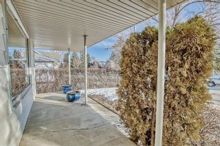 Photo 44: 4804 5 Avenue SW in Calgary: Wildwood Detached for sale : MLS®# A2036651