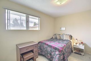 Photo 18: 1223 48 Avenue NW in Calgary: North Haven Detached for sale : MLS®# A1121377