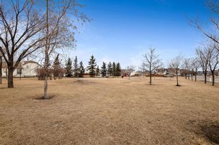 Photo 32: 20 Coville Close NE in Calgary: Coventry Hills Detached for sale : MLS®# A1180064