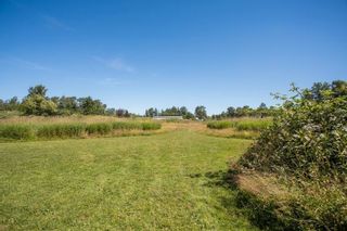 Photo 31: 1381 184 Street in Surrey: Hazelmere Agri-Business for sale (South Surrey White Rock)  : MLS®# C8048263