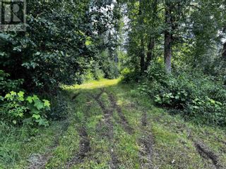 Photo 29: DL 1132 TELKWA HIGH ROAD in Smithers: Vacant Land for sale : MLS®# R2708512