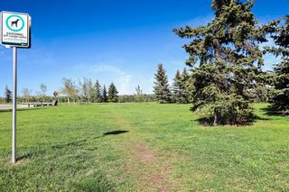 Photo 41: 79 Queen Anne Close SE in Calgary: Queensland Detached for sale : MLS®# A2049755