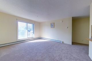 Photo 9: 341 200 Richard Street: Fort McMurray Apartment for sale : MLS®# A1259256