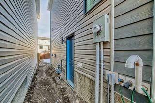 Photo 49: 56 Rowley Terrace NW in Calgary: C-483 Detached for sale : MLS®# A2024659