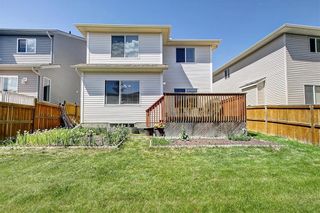 Photo 41: 252 PANAMOUNT Lane NW in Calgary: Panorama Hills Detached for sale : MLS®# A1169514