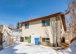 Photo 26: 60 Mckenna Place SE in Calgary: McKenzie Lake Detached for sale : MLS®# A2034340