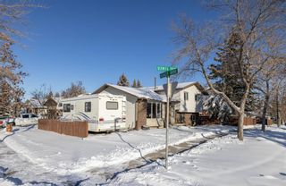 Photo 31: 1456 Berkley Drive NW in Calgary: Beddington Heights Detached for sale : MLS®# A2011390