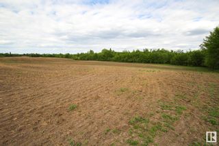 Photo 3: Twp Rd 622 & Rge Rd 102: Rural St. Paul County Rural Land/Vacant Lot for sale : MLS®# E4298114