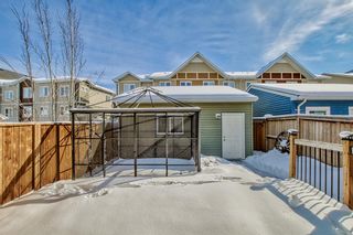 Photo 45: 172 Auburn Meadows Boulevard SE in Calgary: Auburn Bay Semi Detached (Half Duplex) for sale : MLS®# A2030446