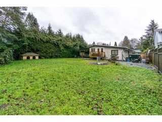 Photo 17: 23165 126 Avenue in Maple Ridge: East Central House for sale : MLS®# R2233926