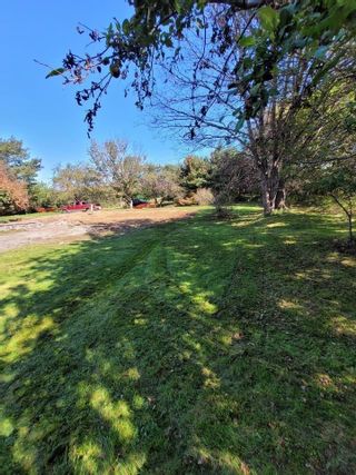 Photo 11: 145 Lower Partridge River Road in East Preston: 31-Lawrencetown, Lake Echo, Port Vacant Land for sale (Halifax-Dartmouth)  : MLS®# 202124611
