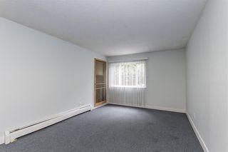 Photo 2: 113 1209 HOWIE Avenue in Coquitlam: Central Coquitlam Condo for sale : MLS®# R2284980