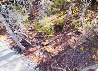 Photo 4: Lot 05-2G NO 329 Highway in Fox Point: 405-Lunenburg County Vacant Land for sale (South Shore)  : MLS®# 202129825