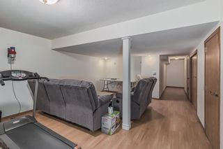 Photo 36: 49 Harvest Glen Heights NE in Calgary: Harvest Hills Row/Townhouse for sale : MLS®# A2050846