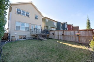 Photo 38: 167 Evanscrest Way NW in Calgary: Evanston Detached for sale : MLS®# A2003359