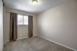 Photo 19: 6648 Temple Drive NE in Calgary: Temple Row/Townhouse for sale : MLS®# A1185976