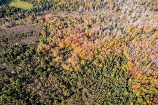 Photo 5: Lot Gospel Road in Glenmont: Kings County Vacant Land for sale (Annapolis Valley)  : MLS®# 202311248