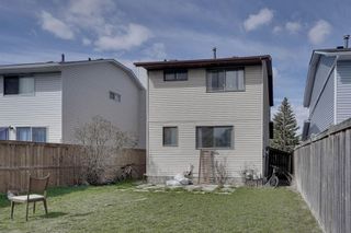 Photo 31: 192 Castlegreen Close NE in Calgary: Castleridge Detached for sale : MLS®# A2126596